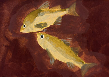 White Perch