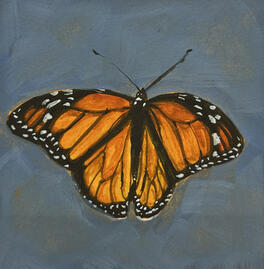 Monarch Butterfly