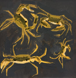 White-Fingered Mug Crab