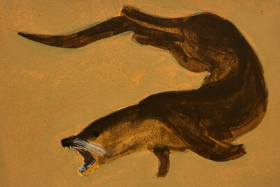 River Otter