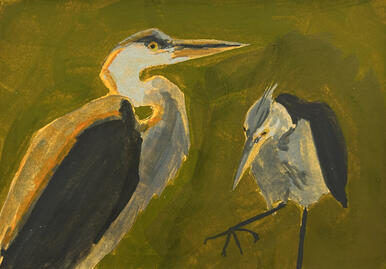 Great Blue Heron