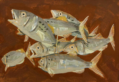 Atlantic Menhaden