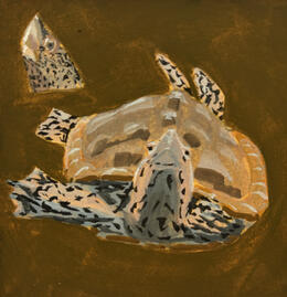 Dimond Back Terrapin